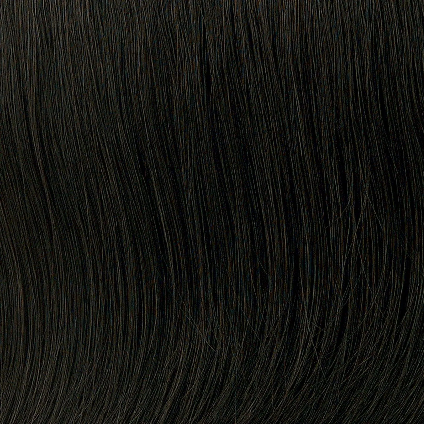 Inspiration Wig by Toni Brattin | Heat Friendly Synthetic (Basic Cap)