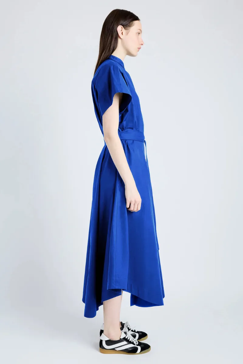 Walker Dress