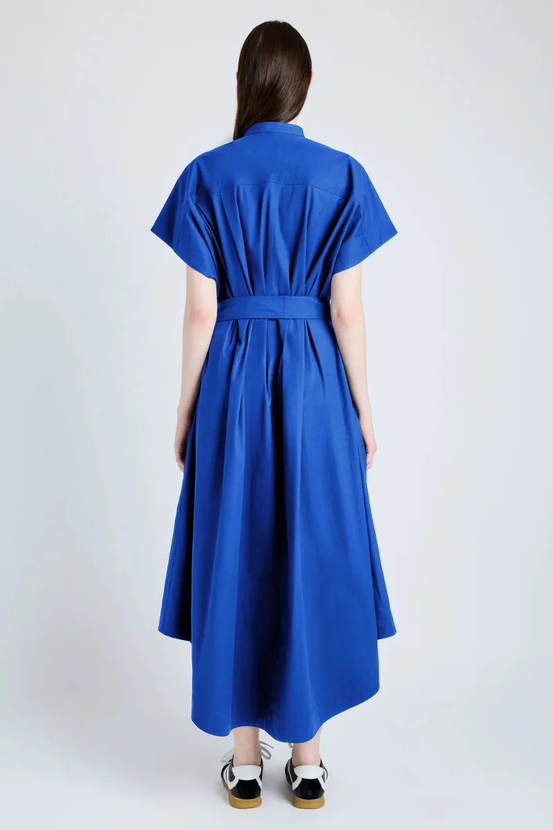 Walker Dress