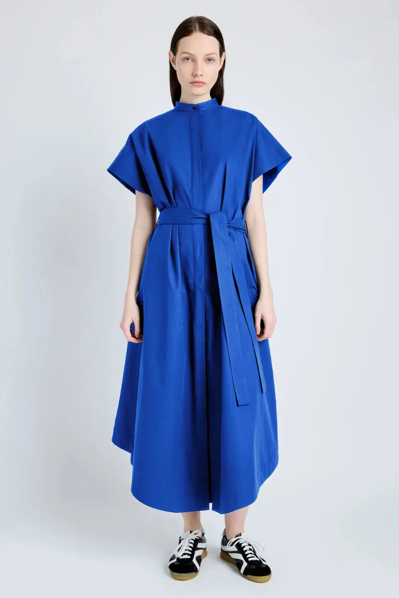 Walker Dress